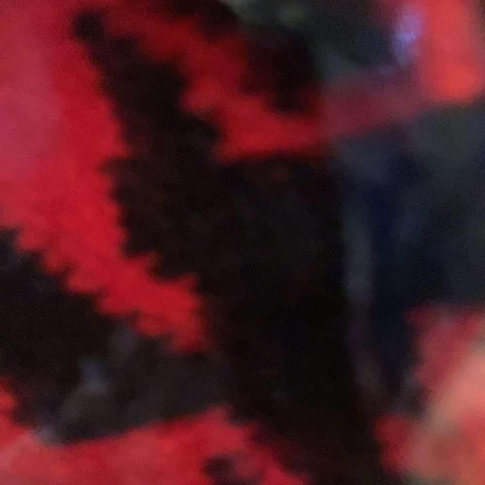 SCARF - Picture 2 of 2